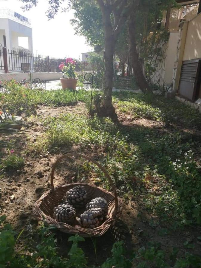 Papadopoulos Houses Nikiti  Buitenkant foto