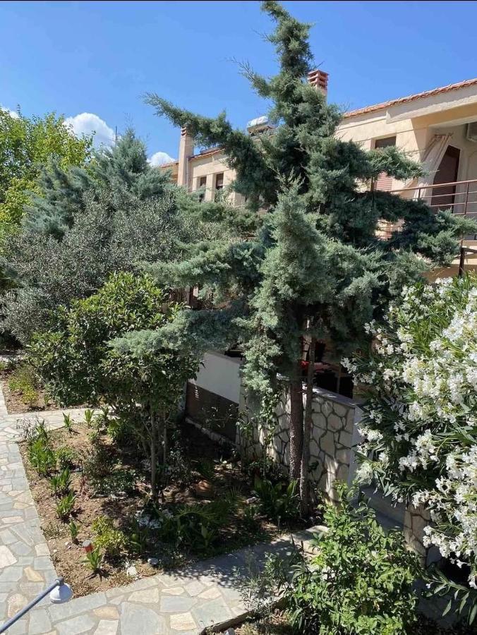 Papadopoulos Houses Nikiti  Buitenkant foto